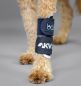 Preview: Balto Karpalgelenkbandage Hunde - Carpal Joint Brace ( Karpalbandage ) mit oder ohne Schiene tragbar